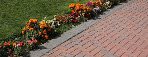Patio Services Ruislip